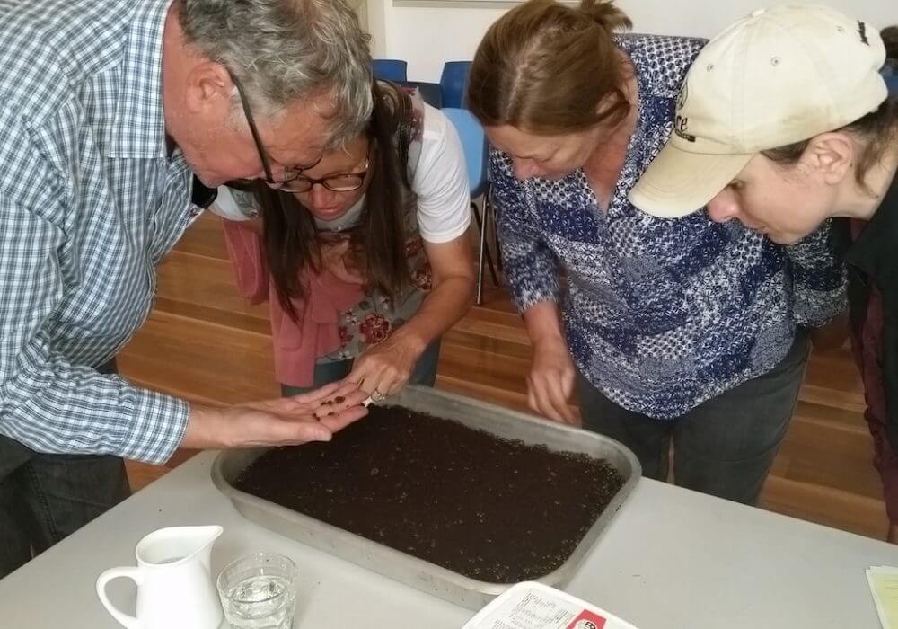 Image from the Exeter Workshop - looking at Dung Beetles